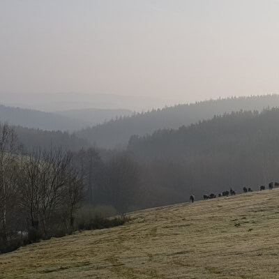 Tuinretraite Tuinretraite